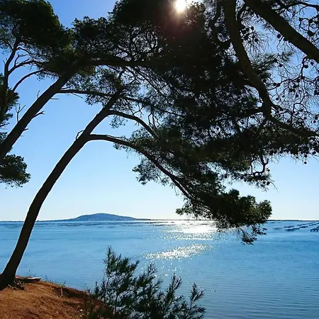 Charmant - Avec Piscine *